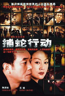 真·探