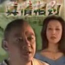 監(jiān)察官與少年